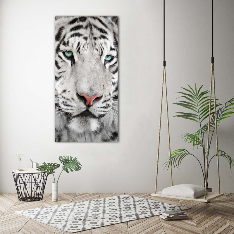 Dogs And Cats - Wrapped Canvas Print