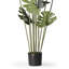 Arbre Monstera artificiel en pot de chambre de bébé-559287230