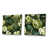 Toile tendue
