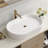 22.8-In Vessels Bathroom Vanity