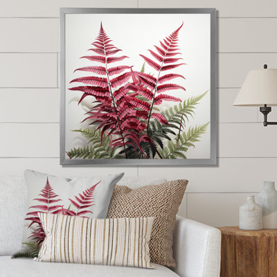 " Ferns Ruby Essence I "