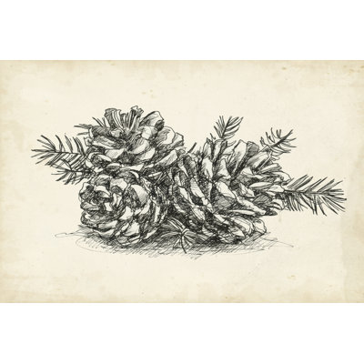 Christmas Conifers II by Ethan Harper - Wrapped Canvas Print