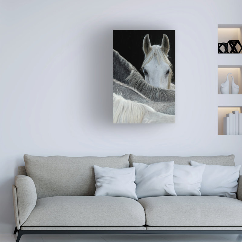 Art mural sur toile tendue - Milan Malovrh «Look» pour décoration de salon, de chambre à coucher ou de bureau - 16 x 24