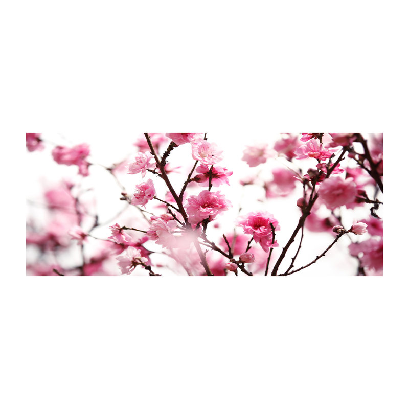 Plum Blossom - Wrapped Canvas Print
