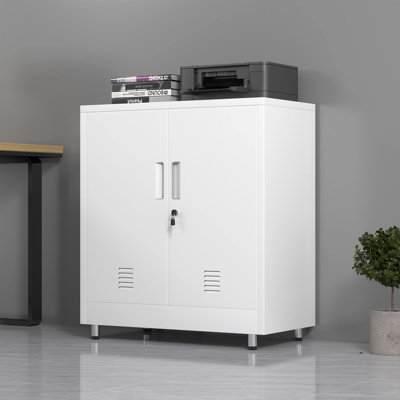 2 -Door Storage Cabinet