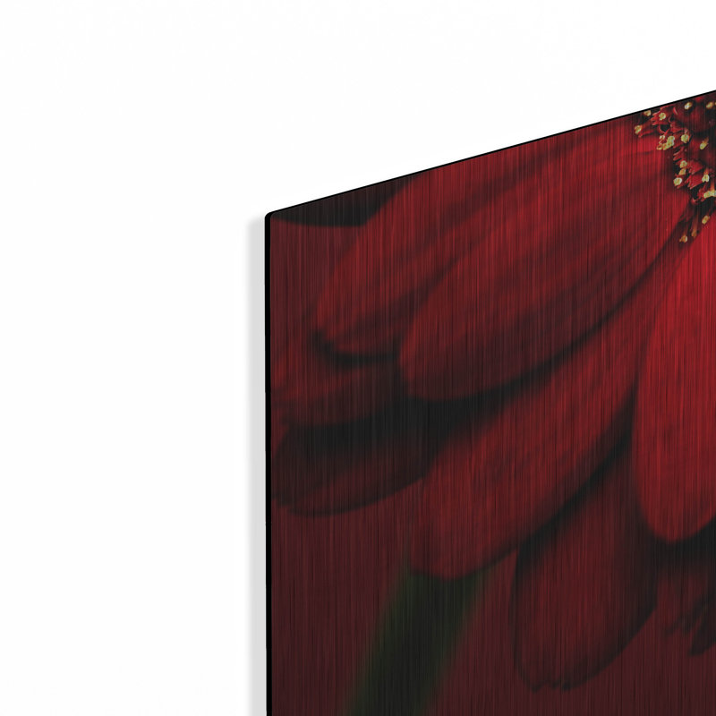 "Red Gerbera On Red 02" par Tom Quartermaine, H 12 po x l 12 po
