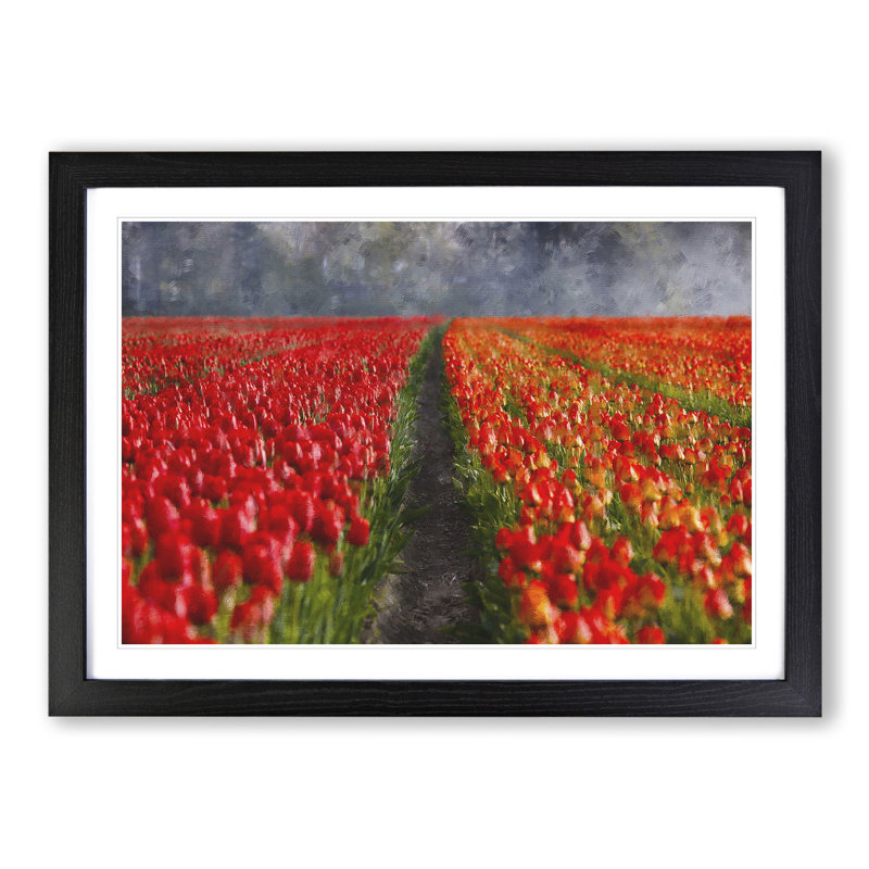 Field of Tulips - Framed Print, 27cm H x 36cm W x 2cm D, Black Framed