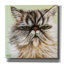 «Persian Cat» par Carolee Vitaletti, art mural sur toile-1828044019