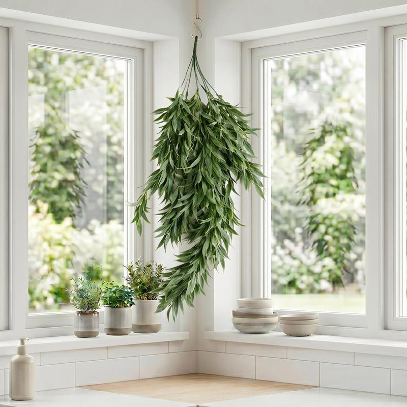 80 Plant, 1