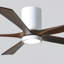 Irene Flushmount Light Kit 5 Blade LED Ceiling Fan-326228170-400583225-400726665