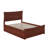 Daury Solid Wood Platform Bed with Matching Footboard and Trundle-338502693-338502692