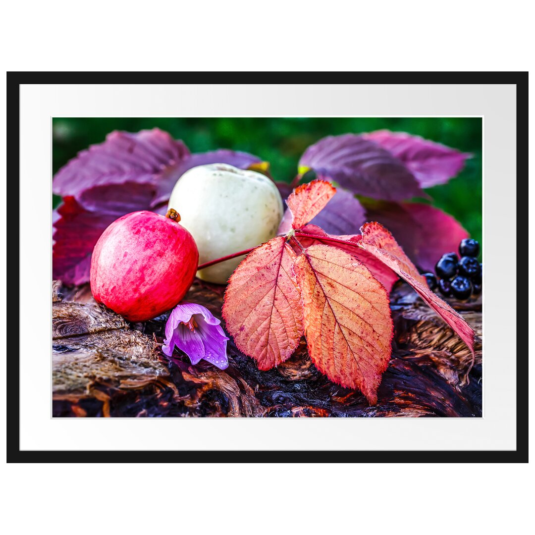 Gerahmtes Poster Äpfel und Blätter im Herbst