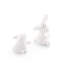 Salt & Pepper Shaker