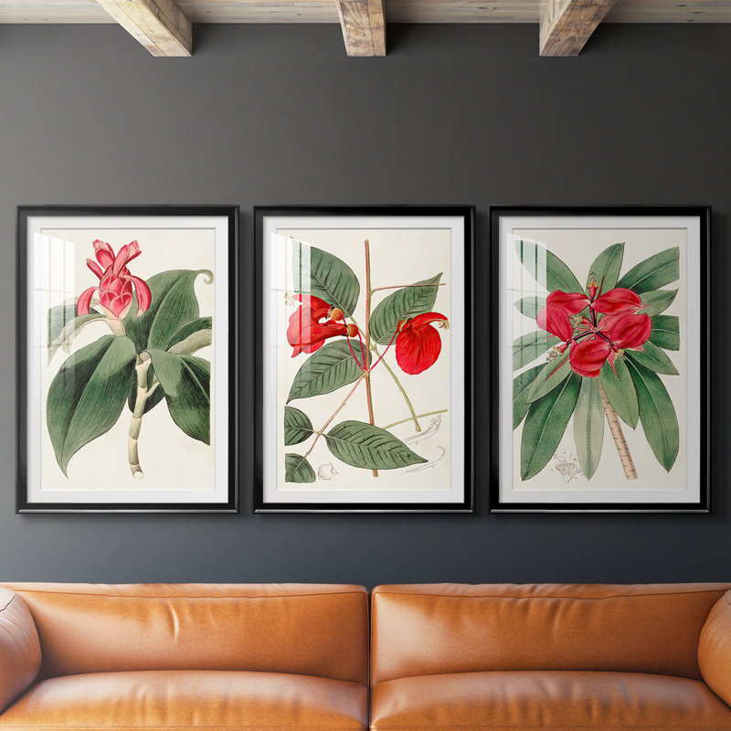 FloraOf TheTropicsI - Impression encadrée sur mesure de qualité supérieure - 3 pièces, H 15 po x l 19 po, Noir