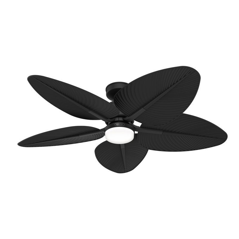 Hunter 52 inch Tropic View Damp Rated Ceiling Fan with Lights and Wall Control, Black