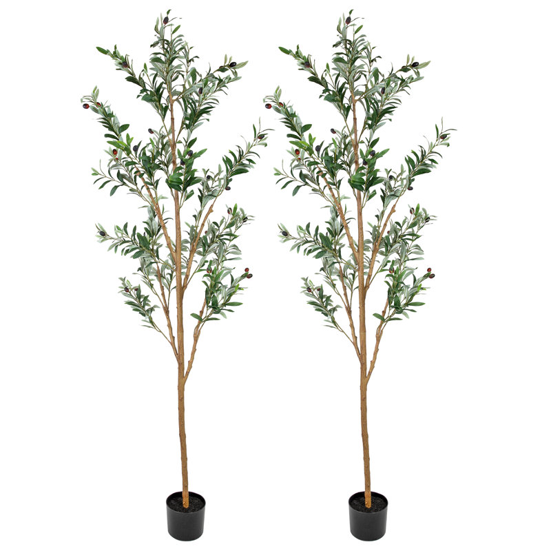 Olive artificielle - paquet de 2, H 84 po x l 2 po x P 26 po