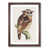 Walnut Framed