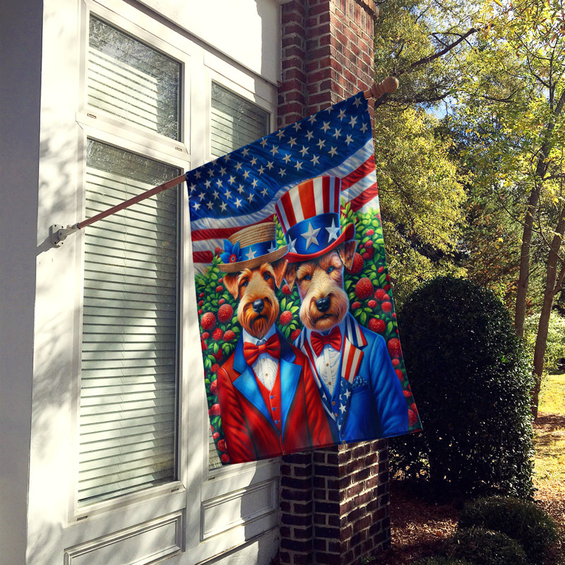Drapeau «All American House», Terrier irlandais