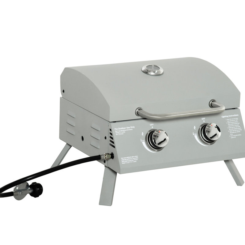 Barbecue au gaz de 21,75 po avec 2 brûleurs pour les soirées barbecue en plein air, allumage, couvercle fumant, thermomètre, pieds pliables et cendrier amovible, fonction de brûleur portable en acier inoxydable gris,