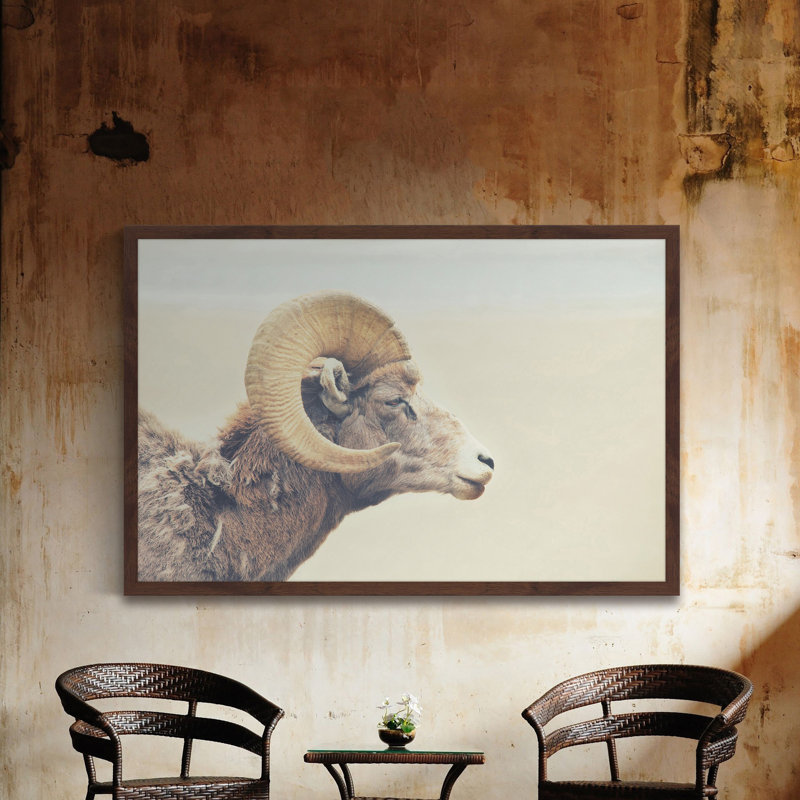 Parvez Taj - Single Picture Frame Print, 61cm H x 91cm W x 3.81cm D