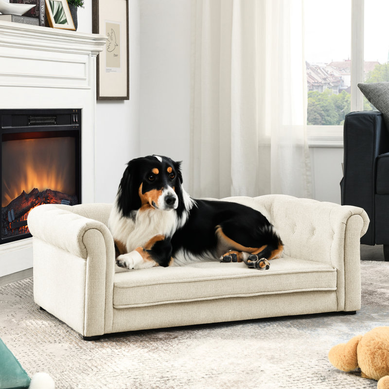 Beige animal de compagnie pour les grands chiens, et lit de chien élégant et stable, beige