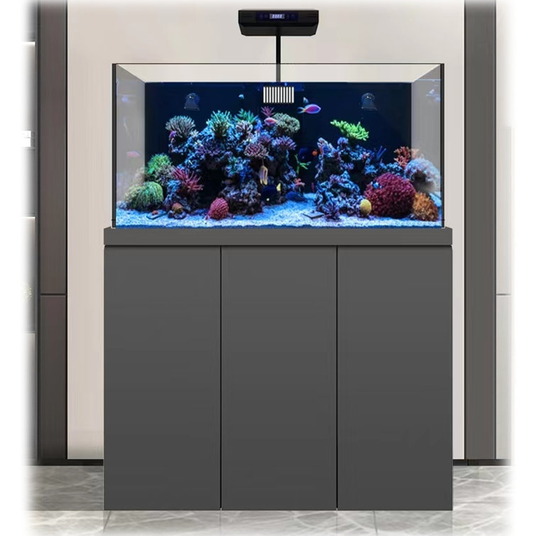 Aquariums & Fish Tanks For Sale - Acrylic, Saltwater, Freshwater – Dream  Fish Tanks