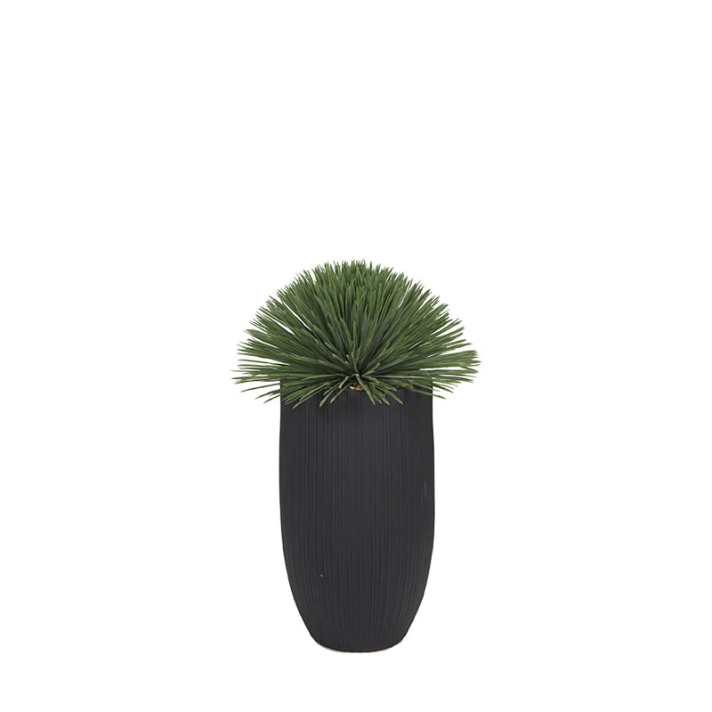 Yucca Rostrata in Medium White Nell Planter, 45 po x 27 po, Noir