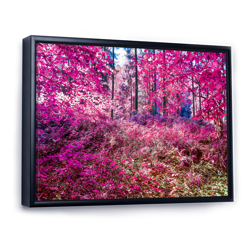 «Path Into Pink and Purple Forest IV», reproduction sur cadre flottant sur toile, H 8 po x l 12 po x P 1 po