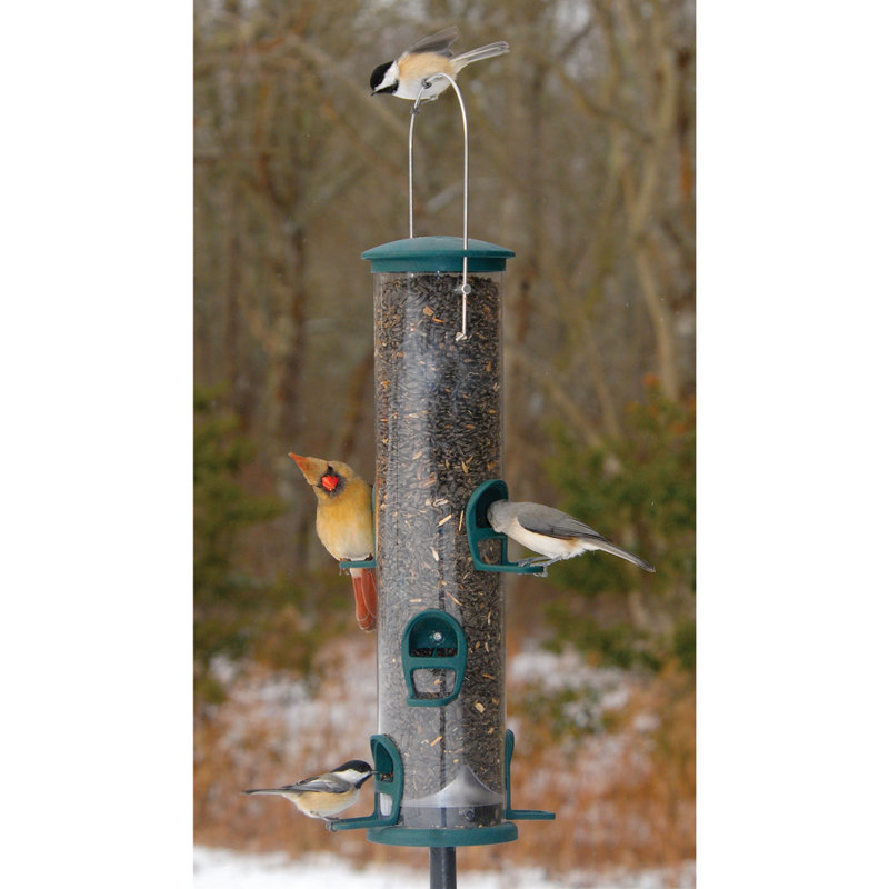 Metal Hanging Tube Bird Feeder