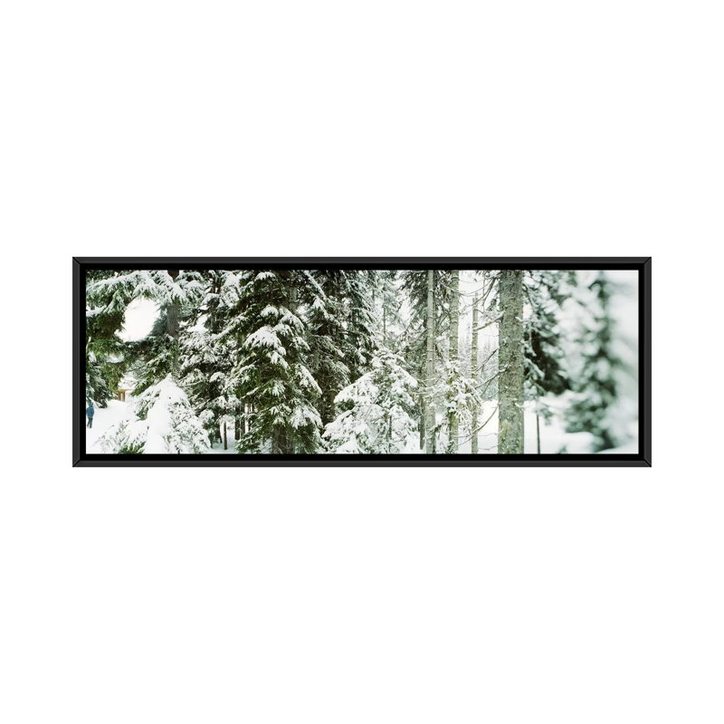 Panoramic Print on Canvas, 24" H x 72" W x 1.5" D, Wrapped Canvas