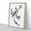 Crossbill Birds by Numata Kashu - Picture Frame Painting Print-55682845-55682846
