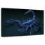 Scorpion en métal Kelan-108930651
