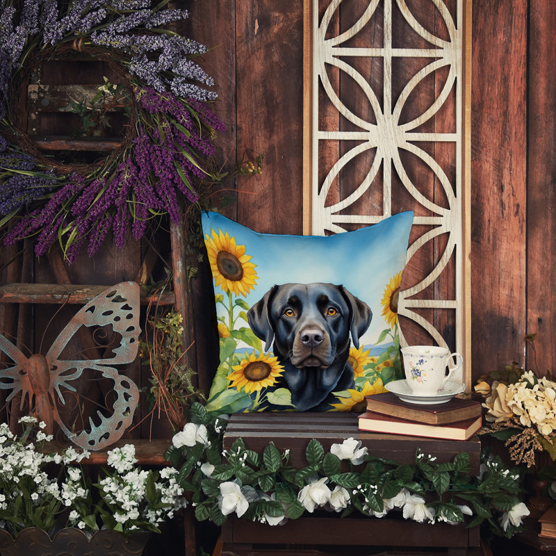 Coussin décoratif intérieur / extérieur Autre / Sans motif, H 14 po x l 14 po