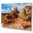Wrapped Canvas