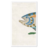 Trout Tryptic I Giclee Print by Dana Gibson