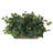 12'' Faux Ivy Plant