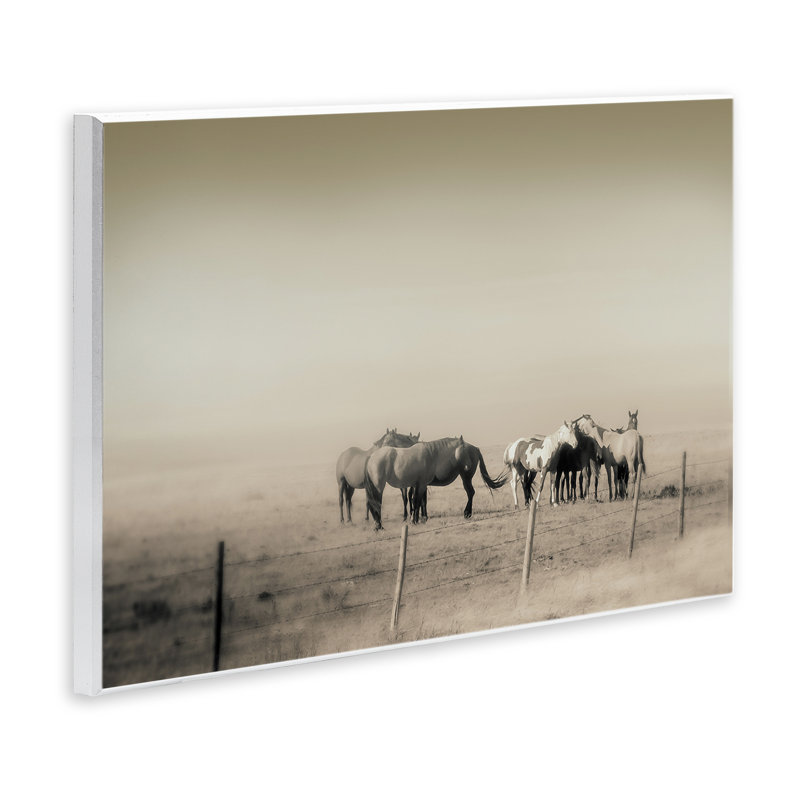 Plaque murale The Herd, monochrome par Roberta Murray, H 10 po x l 15 po