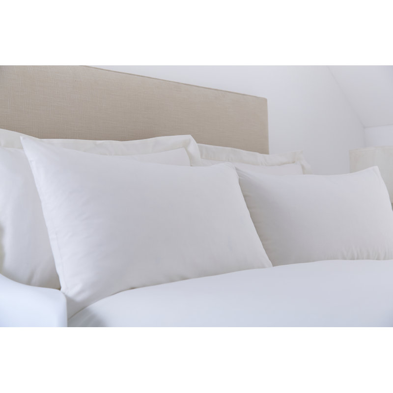 Izyan Cotton Blend Standard Pillow Case, Ivory