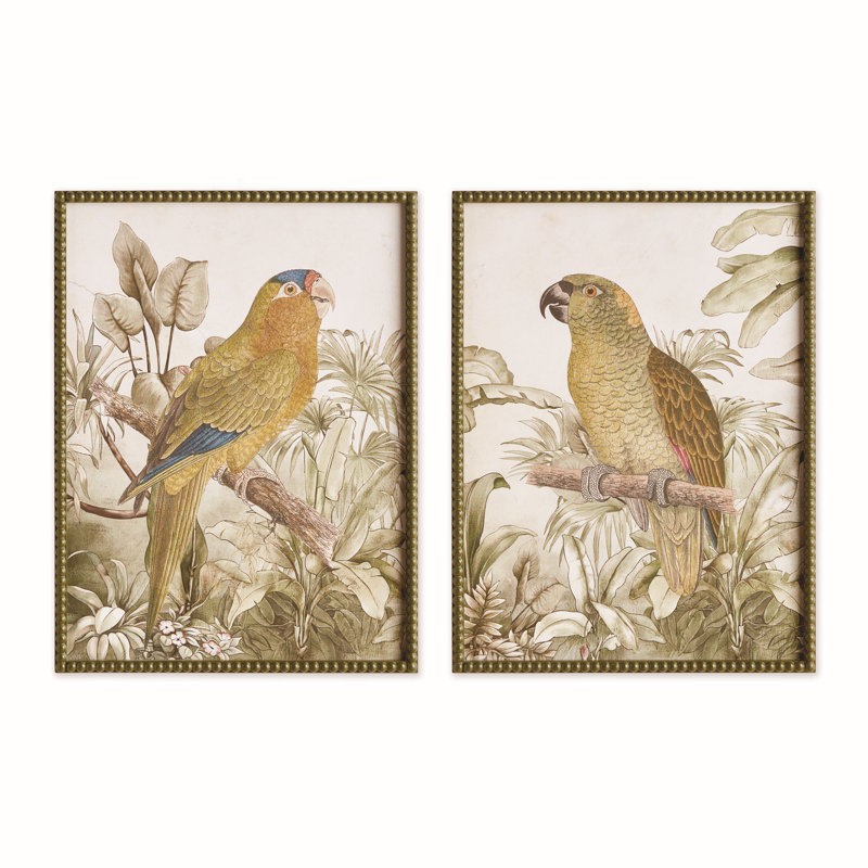 Ensemble de 2 impressions de perroquet tropicales