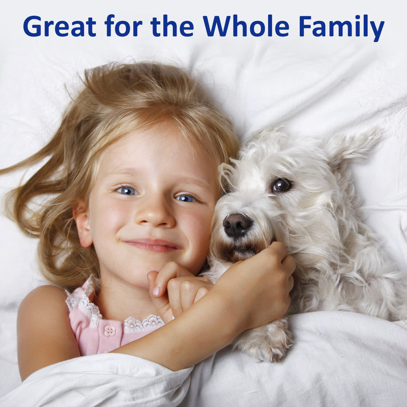 Ensemble de draps en micro-fibre, Ensemble de drap pour lit très grand avec drap-ho, Noir