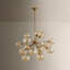Santee Chandelier