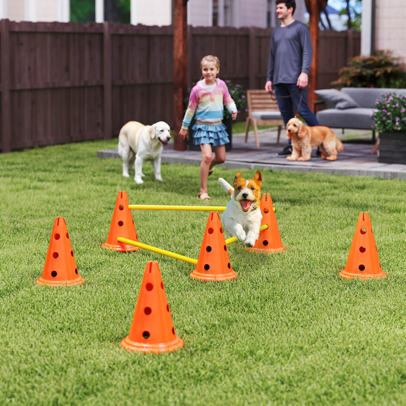 Ensemble de cages de haies Agility, équipement de course à obstacles réglable
