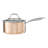 Anand 3.1L Saucepan with Lid