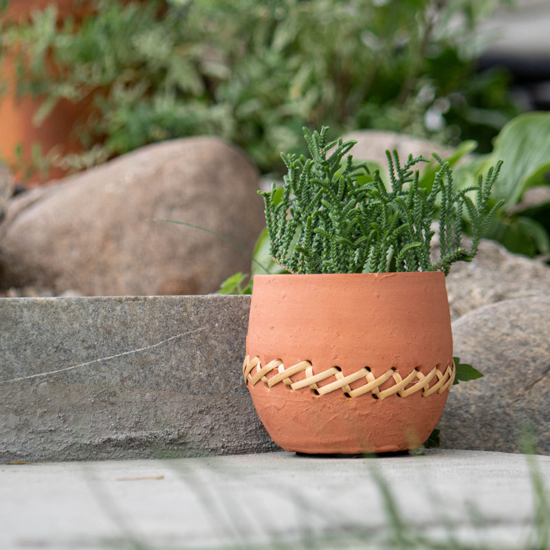 Pot Planter