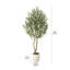 Olive artificielle Ashwell avec pot blanc-155919472
