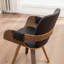 Braiden Set of 2 Swivel Faux Leather Bentwood Dining Chair-1566226411