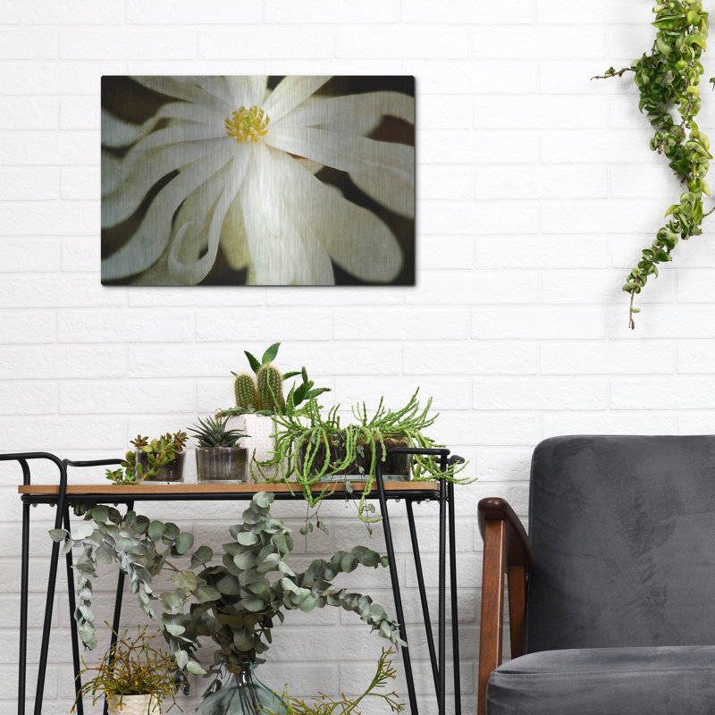 «White Flower» par Dennis Frates, H 12 po x l 16 po