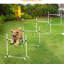 White Dog Agility Training Kit - 4 Piece With Adjustable Bars & Transportable Carry Bag, For Small Dogs Jumps Portable Basket,