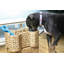 Panier en rotin Hyacinth
