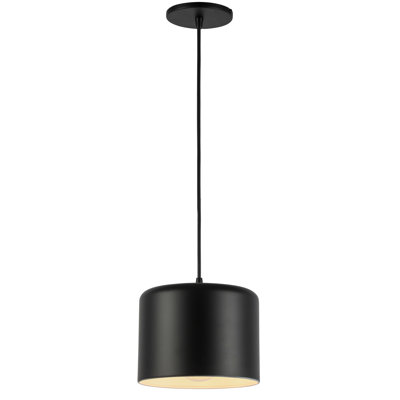 Axtin 1 - Light Single Pendant